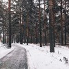 реклама в блоге Маша Герас реклама в блоге Маша Герас
