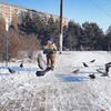 реклама у блоггера Таисия Мамишова реклама у блоггера Таисия Мамишова