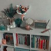 лучшие фото Альберта Ушакова лучшие фото Альберта Ушакова