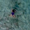разместить рекламу в блоге Вера АлоЯ разместить рекламу в блоге Вера АлоЯ
