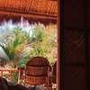 фотография Мила Голландцева фотография Мила Голландцева