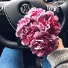 фотография Наташа Мишина фотография Наташа Мишина