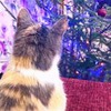 фото Юлиана Королева фото Юлиана Королева