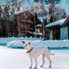лучшие фото Олёна Дроздова лучшие фото Олёна Дроздова