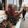 фото на странице Ира Бука фото на странице Ира Бука