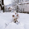 новое фото Елена Кошкина новое фото Елена Кошкина