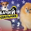 заказать рекламу у блоггера Женя Белозеров заказать рекламу у блоггера Женя Белозеров