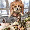 фотография Лиза Меркулова фотография Лиза Меркулова