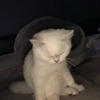 заказать рекламу у блоггера Руслан Соколовский заказать рекламу у блоггера Руслан Соколовский