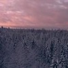 фото на странице Ярослав Шураев фото на странице Ярослав Шураев
