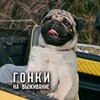 фото Глеб Корнилов фото Глеб Корнилов