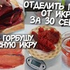 заказать рекламу у блоггера sheina_anna заказать рекламу у блоггера sheina_anna