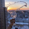 реклама в блоге Женя Тимошук реклама в блоге Женя Тимошук
