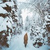 лучшие фото Ярослав Шураев лучшие фото Ярослав Шураев