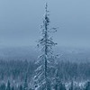 разместить рекламу в блоге Роман Коршунов разместить рекламу в блоге Роман Коршунов