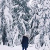 разместить рекламу в блоге Анастасия Mamika_dochki разместить рекламу в блоге Анастасия Mamika_dochki