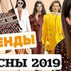 реклама у блоггера limfina реклама у блоггера limfina