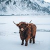 заказать рекламу у блоггера Роман Коршунов заказать рекламу у блоггера Роман Коршунов