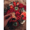 фото Наталия Портнова фото Наталия Портнова
