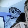 фото на странице nika_zubra фото на странице nika_zubra