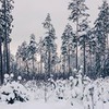 реклама на блоге Илья Гуляев реклама на блоге Илья Гуляев