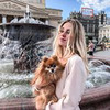 реклама на блоге Буханова реклама на блоге Буханова
