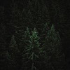 фотография Андрей Свистунов фотография Андрей Свистунов