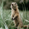 лучшие фото Виктор Полехин лучшие фото Виктор Полехин