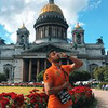 реклама на блоге Гарри Топор реклама на блоге Гарри Топор