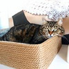 фотография Анна Каленова фотография Анна Каленова