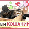 реклама в блоге mrs_redhot реклама в блоге mrs_redhot