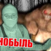 фото на странице vadimdab фото на странице vadimdab