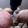 реклама на блоге Машериша Арт реклама на блоге Машериша Арт