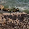 фото на странице Анастасия Ипатова фото на странице Анастасия Ипатова