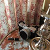 фотография Ксения Молоткова фотография Ксения Молоткова
