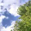 фото Оксана Он фото Оксана Он