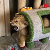реклама в блоге Ильшат Шабаев реклама в блоге Ильшат Шабаев