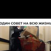 лучшие фото Игорь Войтенко лучшие фото Игорь Войтенко