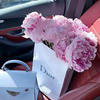 реклама на блоге albina.beauty реклама на блоге albina.beauty