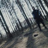 фото на странице Сергей Сердюков фото на странице Сергей Сердюков