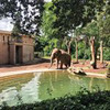 фото на странице Виктория Шулепова фото на странице Виктория Шулепова