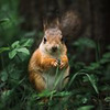 новое фото Андрей Свистунов новое фото Андрей Свистунов