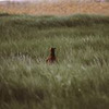 новое фото Мария Крутова новое фото Мария Крутова