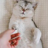 реклама в блоге Вера Чурина реклама в блоге Вера Чурина