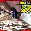 новое фото sergeytracer новое фото sergeytracer