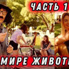 реклама у блоггера olya_chick реклама у блоггера olya_chick