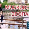 реклама в блоге acrazy_official реклама в блоге acrazy_official