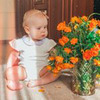 реклама в блоге Екатерина Морозова реклама в блоге Екатерина Морозова