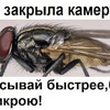 фото на странице Макс Максимов фото на странице Макс Максимов