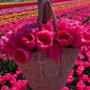 реклама на блоге marina_tristanovna реклама на блоге marina_tristanovna